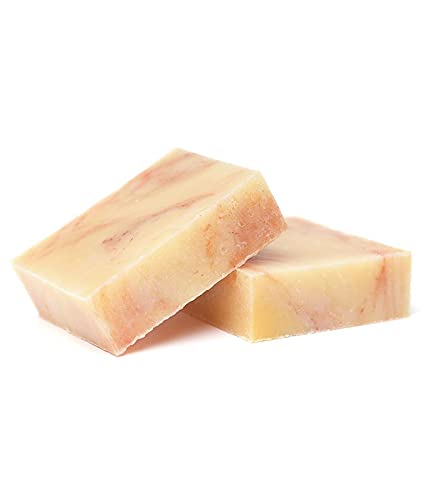 Grapefruit Margarita (2 Pack) Uplifting Scent of Grapefruit, Orange & Lime bars made with Vegetable Oil Blend, Illite Clay and Aloe Vera - Handcrafted in the USA. (2 Bar Set)