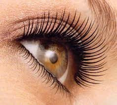 Jolie Ultra Dramatic Luxury Lash Mascara W/Curling Brush - Hypoallergenic, Paraben Free (Navy)