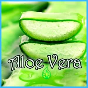 BioRLX 99% Purity Aloe Vera Lip Balm - Natural Moisturizing Unisex Lip Care for Hydrated and Radiant Lips (Collagen & Aloe Vera, 0.12 Ounce (Pack of 2))