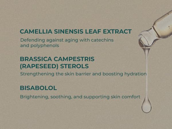INNA ORGANIC Rejuvenating Lotion, Anti-aging, Wrinkle Care, Fine Lines & Tightening, EWG & COSMOS Certified | Chirstmas gift | Frankincense Essential Oils Infused Skin Care | Luxury Clean Beauty