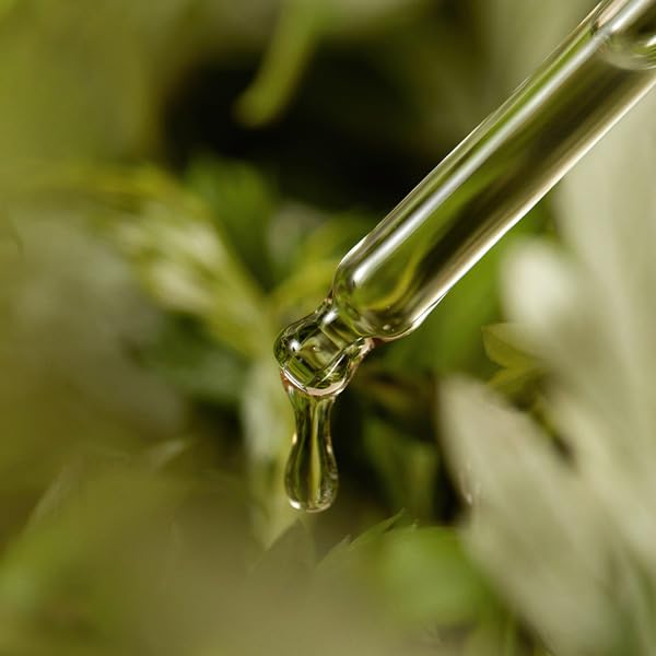 I'm from Mugwort Serum, 57% Calming serum for face with 57% Korean mugwort extract great for soothing, Sensitive, irritated skin, Water gel texture without stickiness, 1.01 fl.oz / 30ml
