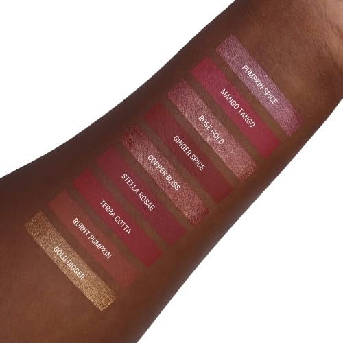Aromi Rosy Peach Metallic Liquid Lipstick | Rose Gold Lip Color with Shimmery Finish, Vegan, Cruelty-free, Long-lasting and Smudge Proof Lipstick, Handmade (Pumpkin Spice)