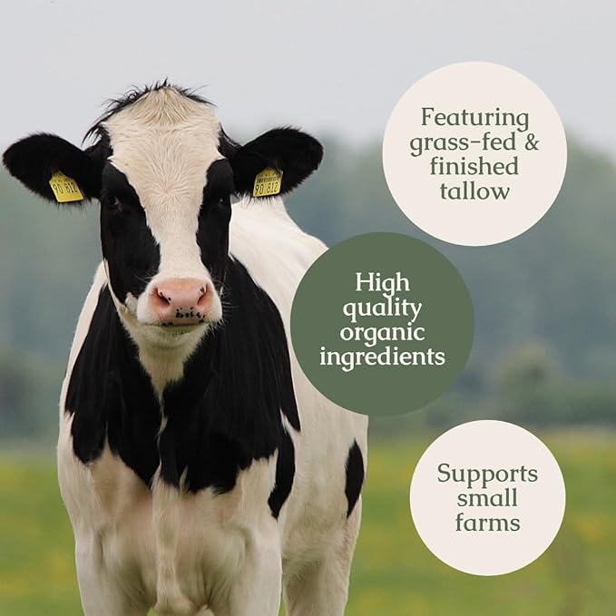 Hearth and Homestead: Handmade Whipped Tallow Balm (Lavender Peppermint): Organic Body Butter with Infused Olive Oil- 1.3 oz