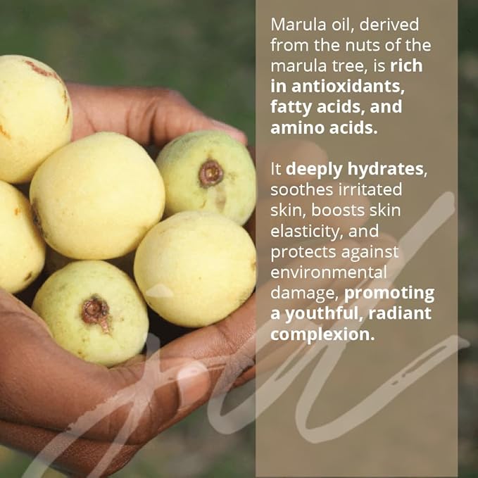 JDBotanics Marula Rooibos Hand and Body Wash (6.7 fl oz Small)