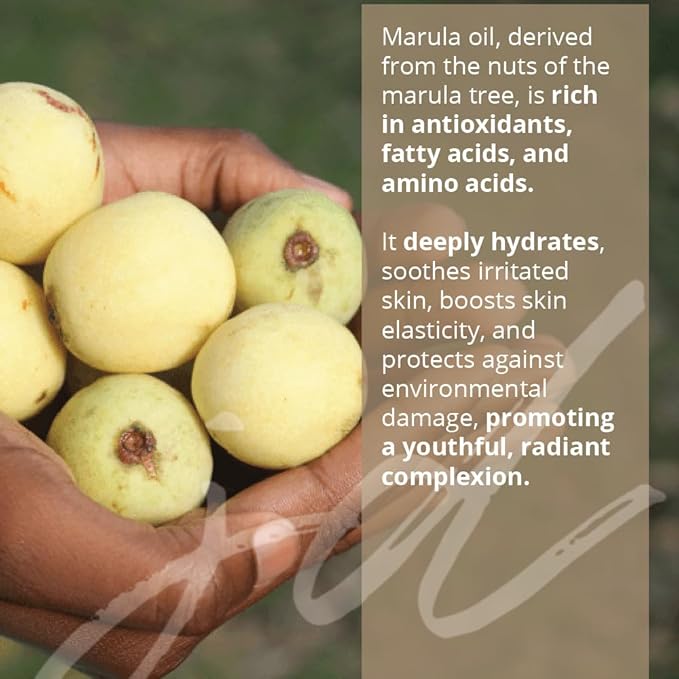 JDBotanics Marula Rooibos Hand and Body Wash (16.9 fl oz Large)