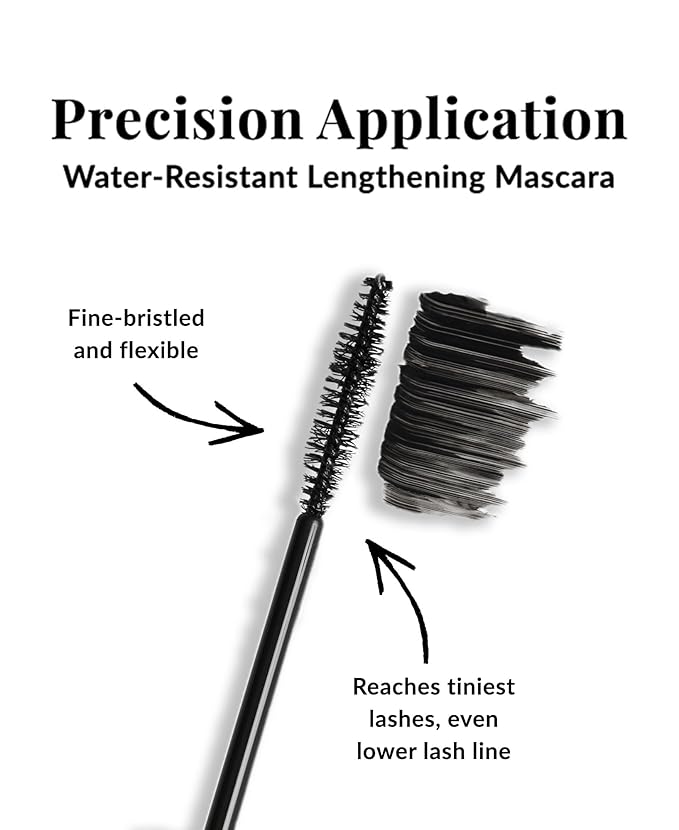 DHC Mascara Perfect Pro Double Protection 0.17 oz. Net wt. and Blotting Paper 2 pack (100 sheets x 2)