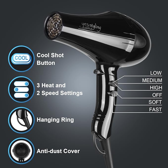 Professional Salon Hair Dryer, Blow Dryer Active Oxygen Negative ions Dryer with Attachments for Fast Drying for Family, Low Noise (Mirror Black, 1 Accessory)