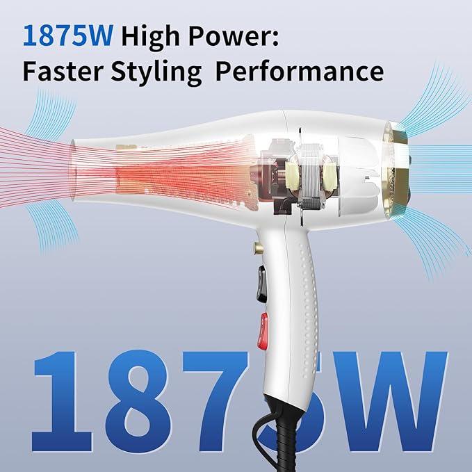Salon Hair Dryer, Professional Blow Dryer AC Motor Fast Drying with 2 Speed, 3 Heat Setting, Cool Button, with Diffuser, Nozzle, Concentrator Comb for Curly & Straight Hair