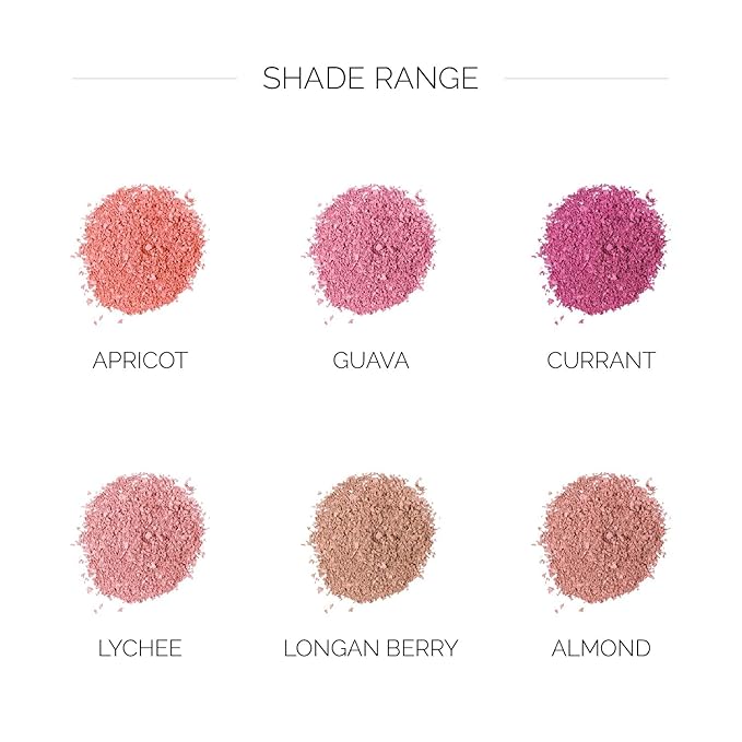 OFIR Elation Powder Blush for Cheeks | Buildable Pigment Adds Radiant Tone | Blurring Powder Softens Lines | Lightweight Texture for Lasting Glow | Longan Berry - Bronzed Nude Shade 0.13 Oz