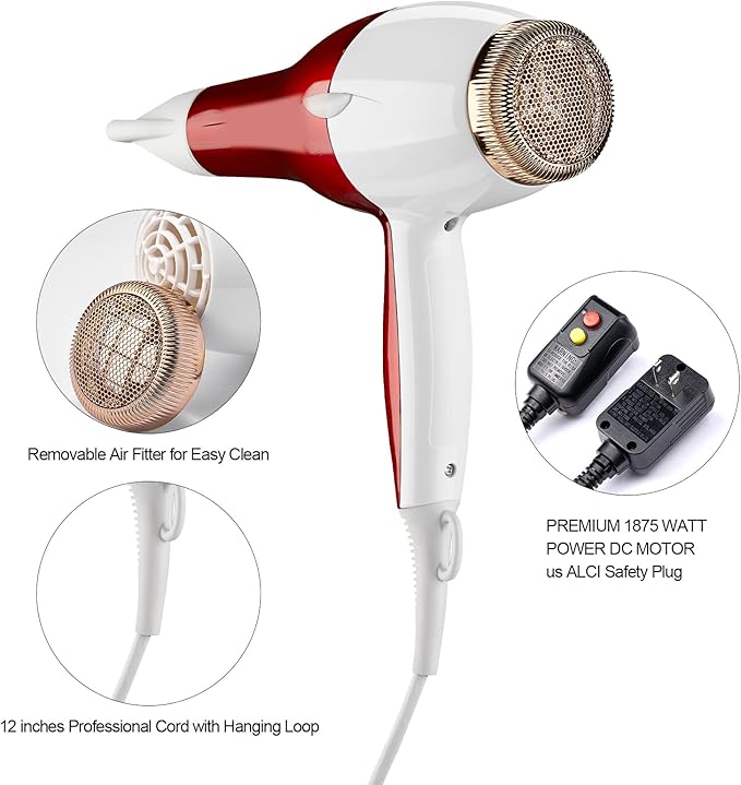 Professional Salon Hair Dryer, 1875W Blow Dryer, 2 Concentrator Nozzles, 3 Heat Settings, 2 Speed Slide Switch, Cool Shot Button, Fast Drying for Family, Low Noise (Red and White)