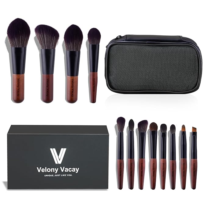 Makeup Brushes Set, 12 Pcs Mini Travel Makeup Brush Set with Case, Travel Brush Set for Loose powder, Contour, Blush, Concealer, Eye Shadow, Eye Corner, Brow Brushes Tool Kit