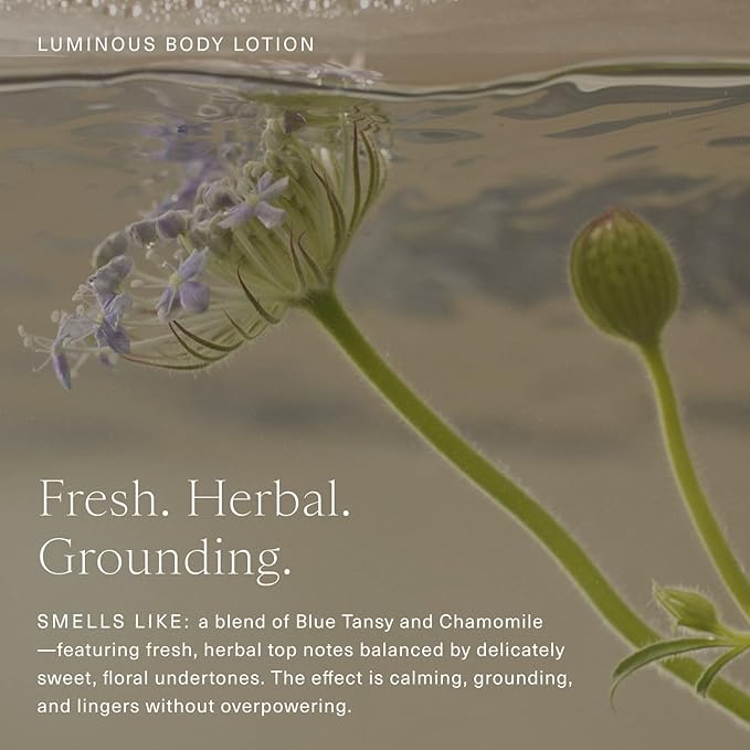 Oak Essentials Luminous Body Lotion | Hydrating Blue Tansy Body Lotion with Rose Oil, Turmeric, Shea Butter and Coconut Oil, 10.1 Fl Oz