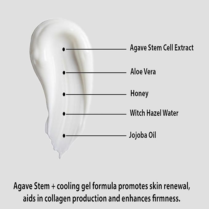 AGAVE STEM + GEL For Face – Groundbreaking Skin Care That Incorporates Agave Stem Cell Extract & Peptides – Moisturize & Eliminate Fine Lines and Wrinkles – 1.7 Fl Oz