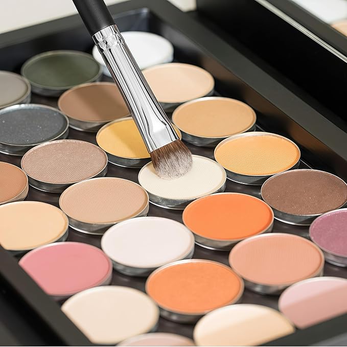 2 pcs Lip Brush Concealer Brushes ，Lipstick Gloss Brushes Applicators Eyeshadow Lip Liner Makeup Brush Cosmetics Make Up Tools, Small Make Up Brushes
