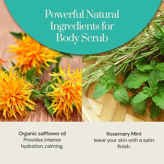 Soapstones Cedar and Elements Exfoliating Body Scrub - 200 mL - Gentle and Soothing with Safflower Seed Oil - Rosemary and Mint Infused Body Scrub Exfoliator