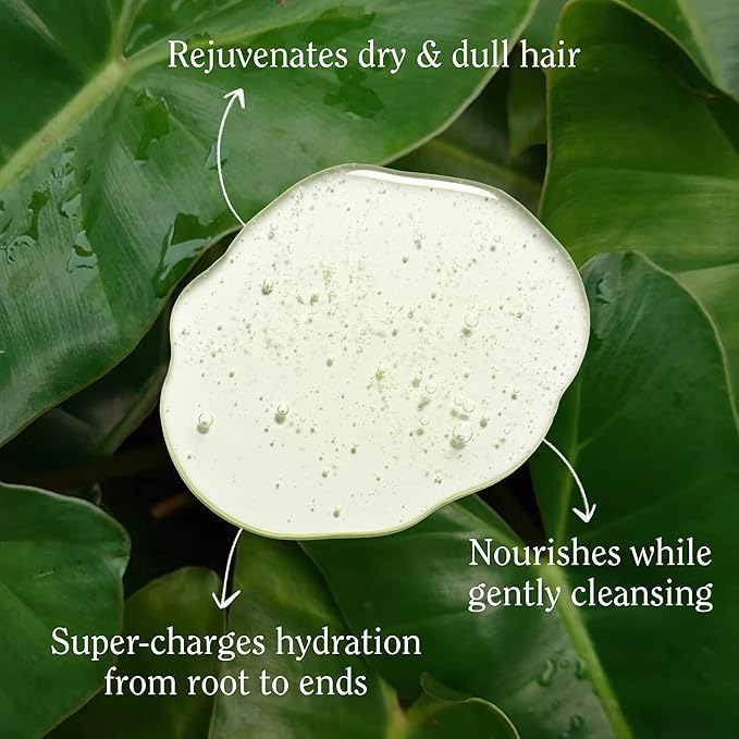 California Naturals Super Moisture Shampoo for Dry Damaged Hair, Hydrating Shampoo, Scalp & Hair Care for Women & Men, Natural, Vegan, Cruelty, Paraben & Sulfate Free, Color Safe, 16.5 fl oz