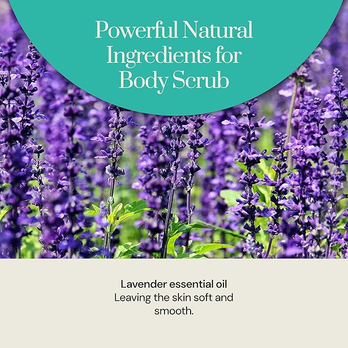 Soapstones Pure Lavender Exfoliating Body Scrub - 200 mL - Gentle and Soothing with Safflower Seed Oil - Essential Oil Infused Body Scrub Exfoliator