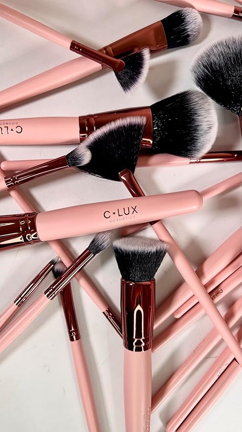 Lucky Day 24-Piece Makeup Brush Set - Rose Gold Design, Soft Synthetic Bristles, Complete Face and Eye Brushes Kit with Travel-Friendly Holder - Ideal for Beginners, Professionals & Gift Giving